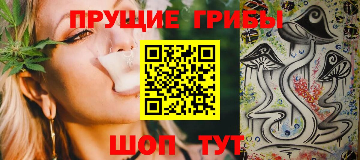 Корсаков  Галлюциногенные грибы GOLDEN TEACHER  Вход с VPN 